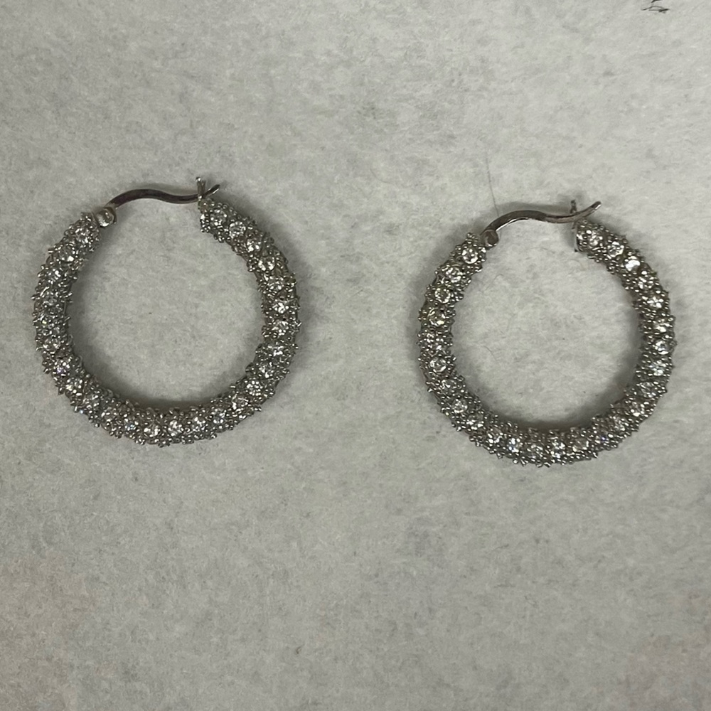 Elegant Silver Hoop Earrings